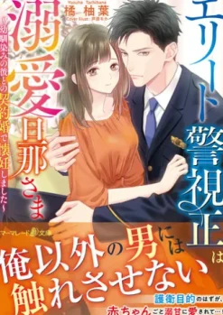 エリート警視正は溺愛旦那さま～幼馴染みの彼との契約婚で懐妊しました～
