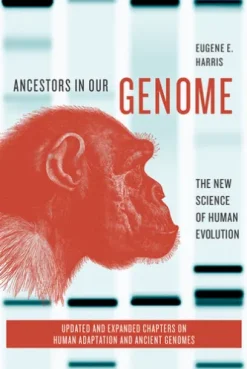 Ancestors in Our Genome