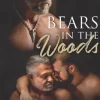 Bears in the Woods