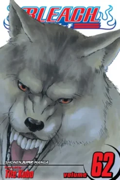 Bleach, Vol. 62
