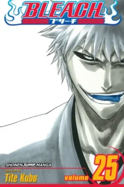 Bleach, Vol. 25