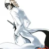 Bleach, Vol. 22