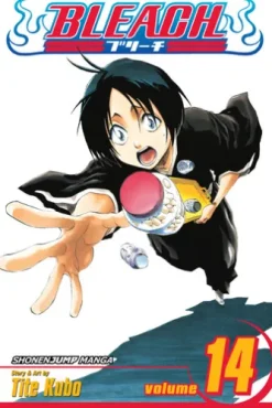 Bleach, Vol. 14