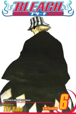 Bleach, Vol. 6