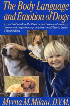 Body Language and Emotion of Dogs