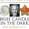 Brief Candle in the Dark