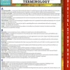 Business Finance Terminology (Speedy Study Guide)