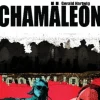 Chamäleon