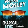 Charcoal Joe