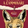 Continua a camminare
