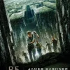 De labyrintrenner
