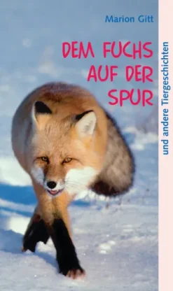 Dem Fuchs auf der Spur