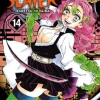 Demon Slayer: Kimetsu no Yaiba, Vol. 14