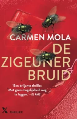 De zigeunerbruid