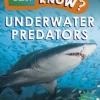 Do You Know? Level 2 – BBC Earth Underwater Predators