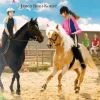 Droomweek op de Horse-Hoeve