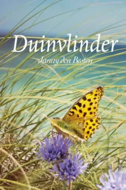 Duinvlinder