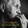 Een Driebenig paard