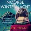 Een Noorse winternacht