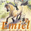 Emiel van de Hazelhoeve