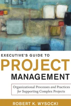 Executive's Guide to Project Management