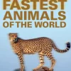 Fastest Animals Of The World