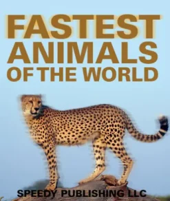 Fastest Animals Of The World