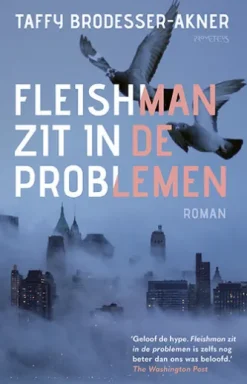Fleishman zit in de problemen