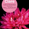 Gestrand met een miljonair
