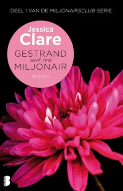 Gestrand met een miljonair