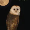 Gute Nacht, Freunde