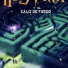 Harry Potter y el cáliz de fuego