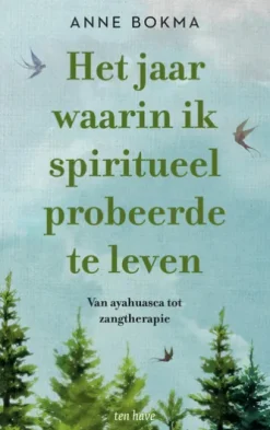 Het jaar waarin ik spiritueel probeerde te leven