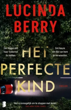 Het perfecte kind