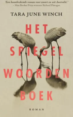 Het spiegelwoordenboek