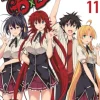 High School DxD, Vol. 11