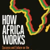 How Africa Works