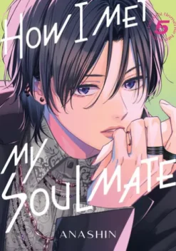 How I Met My Soulmate 5