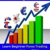 How to Day Trade Forex with a Small Account for Beginners