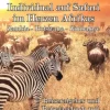 Individual auf Safari im Herzen Afrikas - Zambia - Botswana - Zimbabwe - Reiseratgeber und Reisetagebuch mit nützlichen Tipps