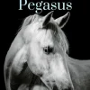 Inside Pegasus
