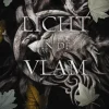 Licht in de vlam