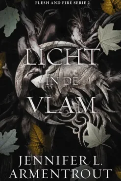 Licht in de vlam