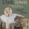 Lights in a Dark Town