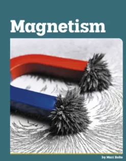 Magnetism