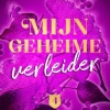 Mijn geheime verleider