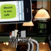 Moord in een café