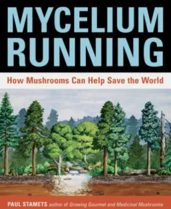 Mycelium Running