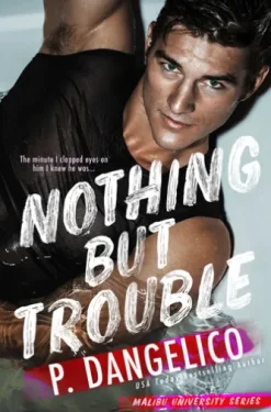 Nothing But Trouble