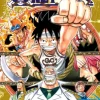 One Piece, Vol. 45